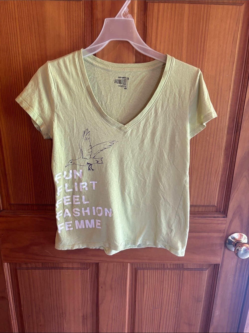 Women’s Light Green V-Neck Graphic Tee - Unbranded
